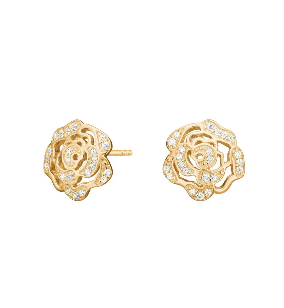 Ørestikker SANDRANOR